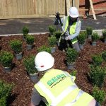 Egan team planting out in the sunshine Egan team planting out in the sunshine